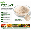 Pectinase Enzyme for Pectin Degradation & Processing Meta Description