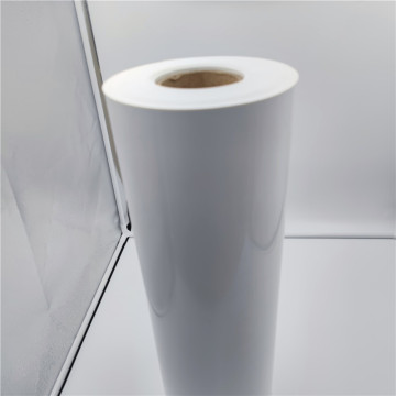 Polypropylene Plastic PP Sheet Roll for Packaging Containers