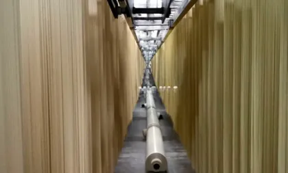 International New Type Stick Noodle Production Line