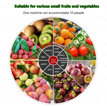 Multifunctional Fruit and Vegetable Grading Sorting Machine
