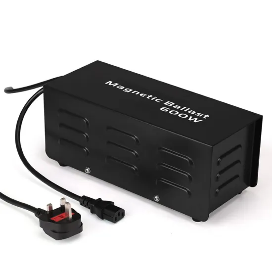 Factory Price 600W MH/HPS Lighting Ballast for Hydroponics