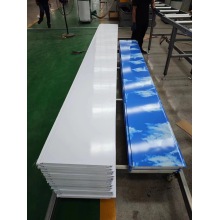 Sky Pattern PU Insulated Panel for Interior and Exterior Wall Decoration