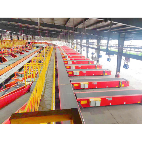 מסוע חגורה טלסקופי קבוע