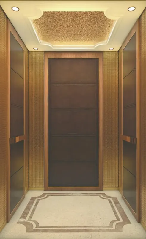 Customized Residential and Commercial Elevator Solutions