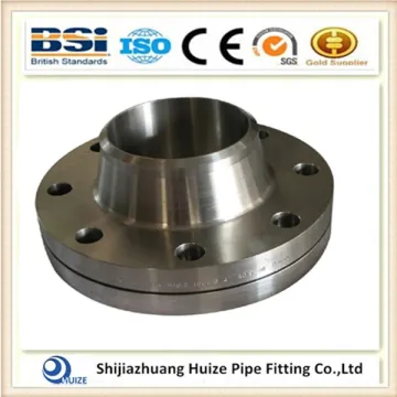 Stainless Steel WN RF Flange