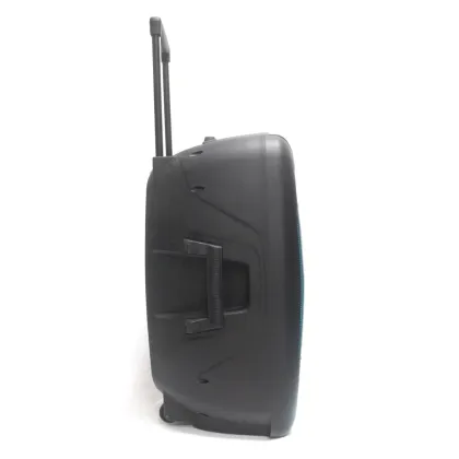 Portable Fidek Speaker Professional Bass Portable Wireless Speaker with Trolley