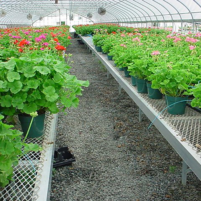 Fixed Top Greenhouse Bench