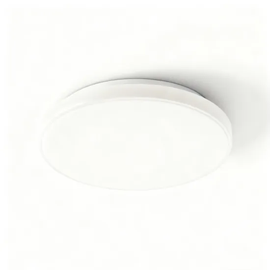 LED ceiling light for warm tones