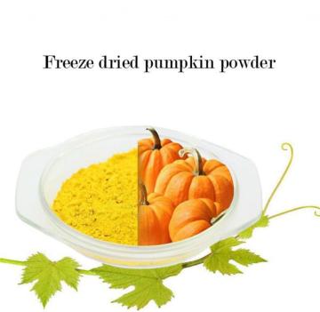 Freeze Dried Pumpkin Powder Exported