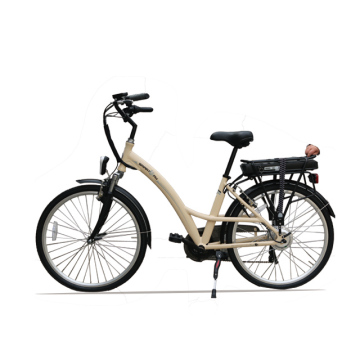 Attractive Design 250w 350w 500w 750w Electric Bike