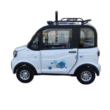 Stok yeni saf yetişkin mini ev otomobil - yaşlılar için% 100 mikro model elektrikli araba