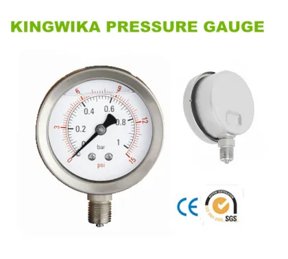 Pressure Gauge Yyl-17