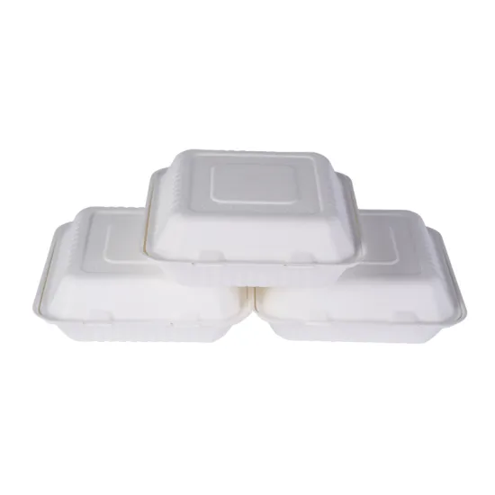 100% Natural Compostable Sugarcane Clamshell Take-Out Container - Bagasse Packaging Lunch Box
