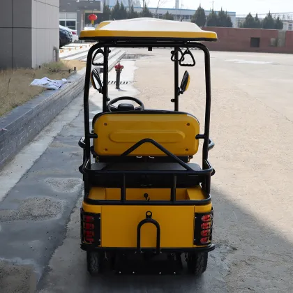 Mini Electric Car for Sale