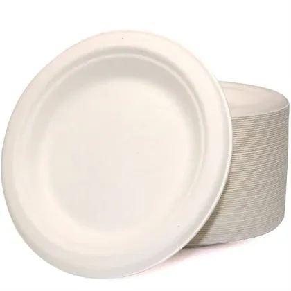 Biodegradable Dinner Plate Sugarcane Bagasse Paper Plates