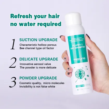 Custom Logo Private Label 170ml Hair Dry Shampoo Spray