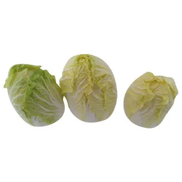 Chinese Green Vegetable Cabbages, Pollution-free, 25cm Length
