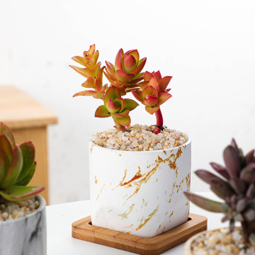 Ceramic Marble Flower Pot for Succulents