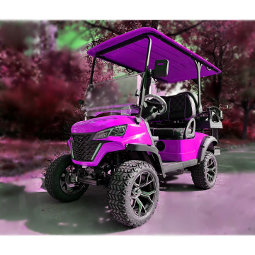 Cheap Classic Electric Golf Carts for 4 People with 4 Seats - EG Supplier Sightseeing Buggies