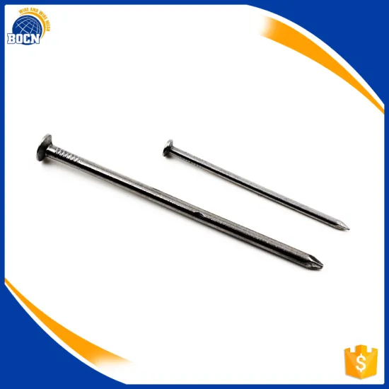 Galvanized common wire nail size factory