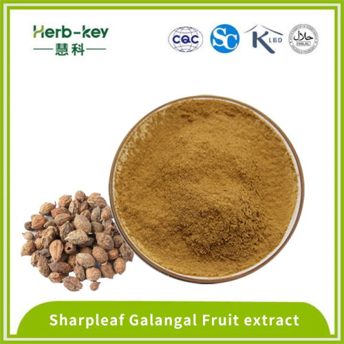 Bebida sólida 10: 1 Sharpleaf Galangal Fruit Extract