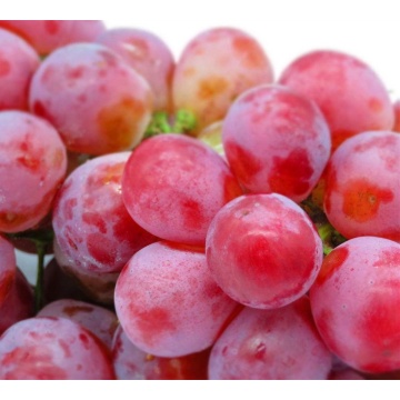 China red grape red globe yunnan grape fresh fruit exporter