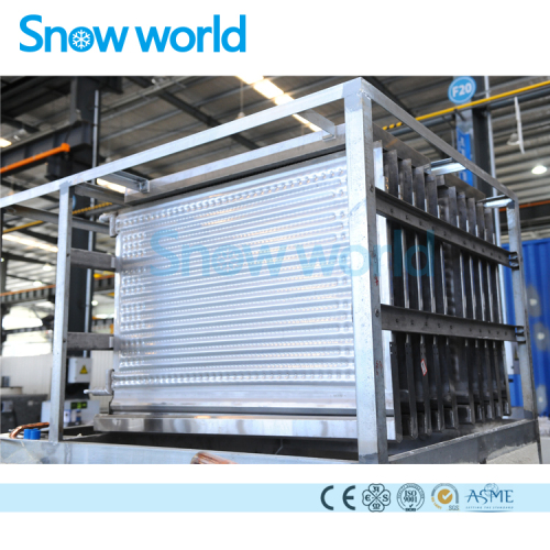 Snow world Evaporatore di ghiaccio a piastre in acciaio inossidabile