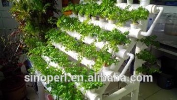 Expanded Perlite for Culturing without soil