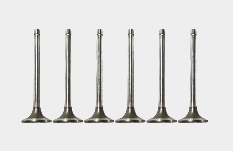 OEM Replacement Intake Valve - Fits