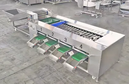 Factory Direct Sale Fruit & Vegetable Grading Machine - Fruit Sorting Machine Grading Machine