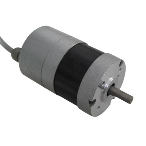 Motore DC brushless driver interno 24VDC