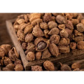 Organic Amomum Villosum Extract for Digestive Support and Balance