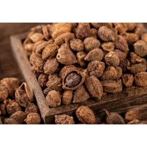 Organic Amomum Villosum Extract for Digestive Support and Balance