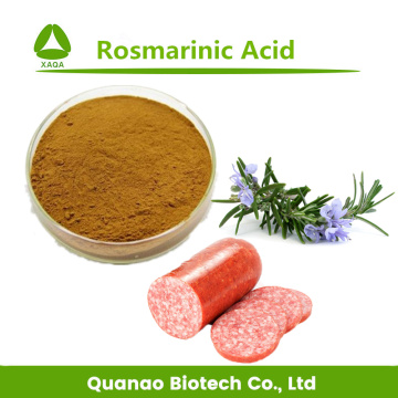Pet Food Rosemary Extract Rosmarinic Acid Powder 2.5%