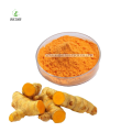 Tumeric Extract Powder 95% Curcumin