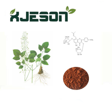 Natural Epimedium extract with Icariins