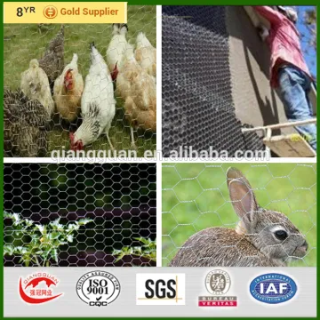 Aviary fence 50mm holes, galvanised stainless steel chicken netting 30m