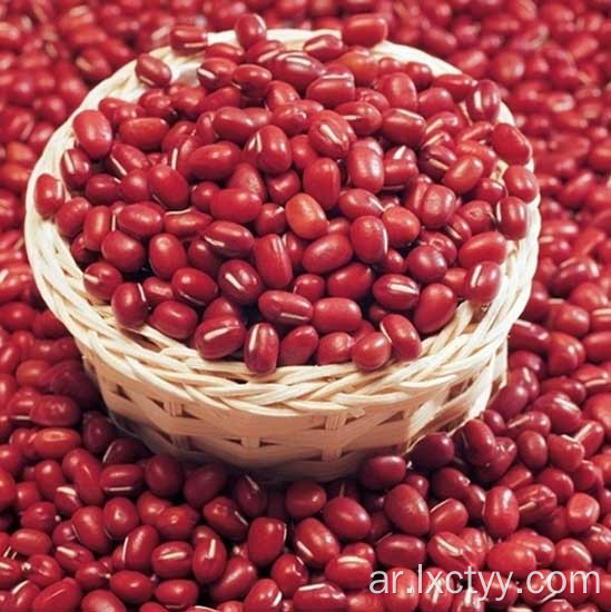 adzuki beans شريحة الشاي