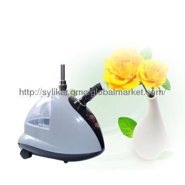 Portable Top Class Iron steamer with Nimble Style,hot sale in 2012