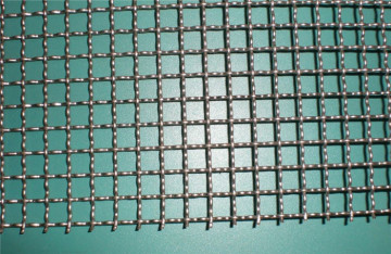 Low Carbon Steel/Mild Steel Crimped Wire Mesh Factory