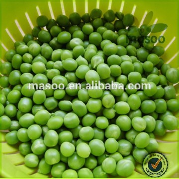 Chinese split green peas frozen 2015