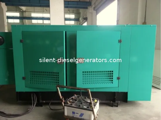 Silent High Efficient Natural Gas Powered Generators 24kw / 30kva Ip21