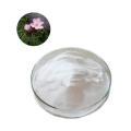 /msite/products/detail/productid/62267903/id/1495689.html