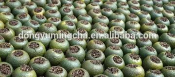 Chinese fruit tea with orange and white tea -----Xiaoqinggan