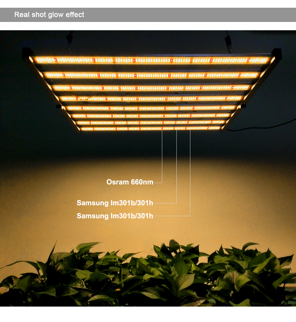 grow light spectrum