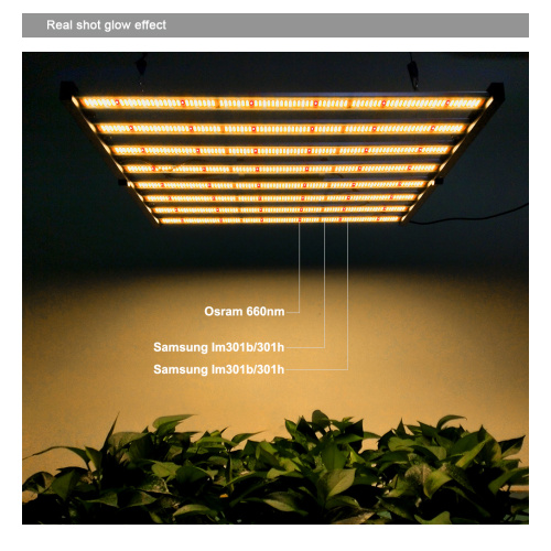 640W Phlizon LED Grow Light Strip DISEÑO DOPLETABLE