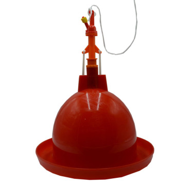 Chicken Feeders and Drinkers for Sale: Poultry Farm Equipment