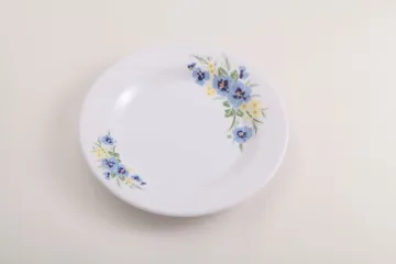 melamine dinner plate