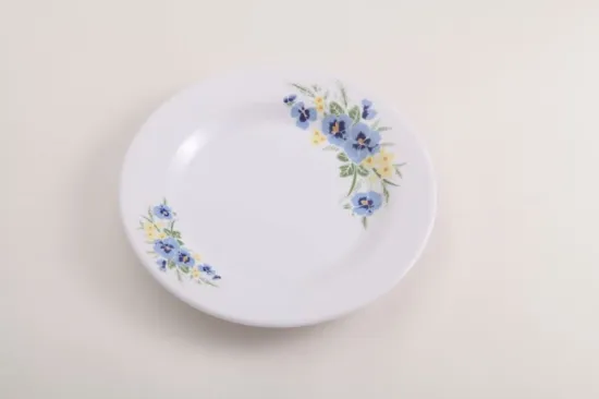 melamine dinner plate