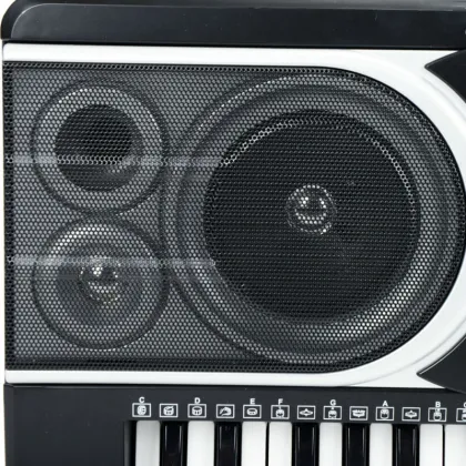 Miles 61 key MLS-9688 Electronic organ